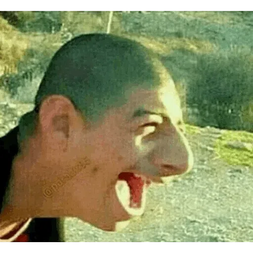Rohullah_meme - Sticker 17