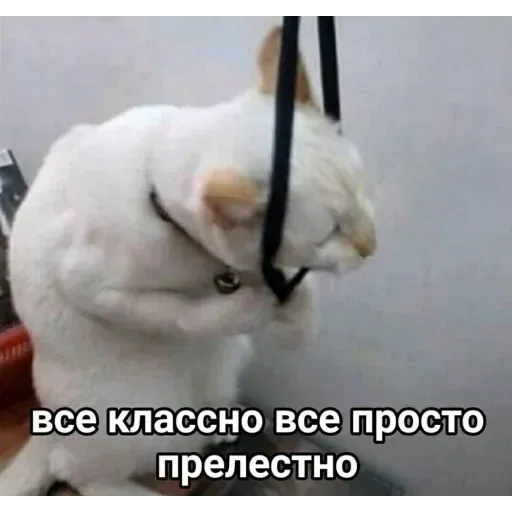 хочу хычин - Sticker 14