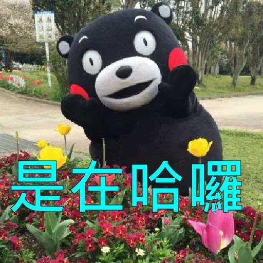 熊本熊3 - Sticker 12