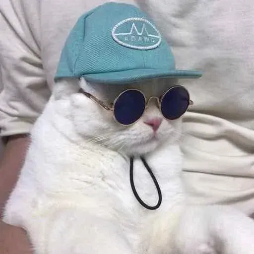 Cute aesthetic - Sticker 13
