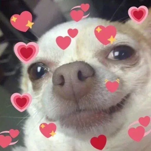 Cute aesthetic - Sticker 14
