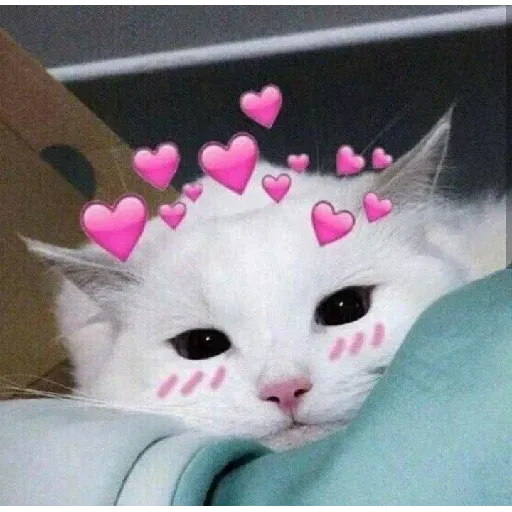 Cute aesthetic - Sticker 15