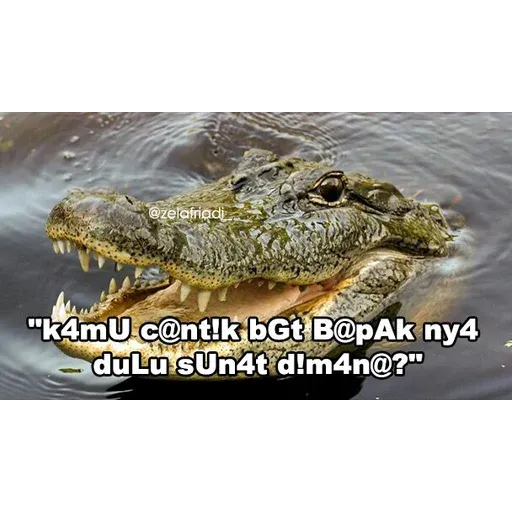 buaya - Sticker 13