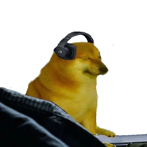 doge - Sticker 13