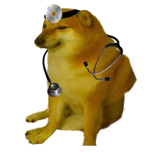 doge - Sticker 20