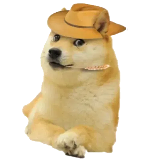 doge - Sticker 26
