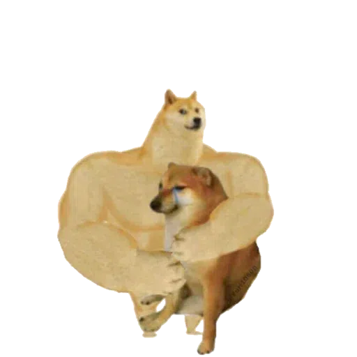 doge - Sticker 30
