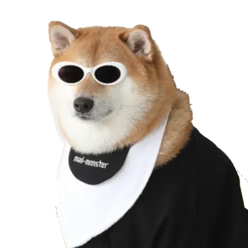 doge - Sticker 11