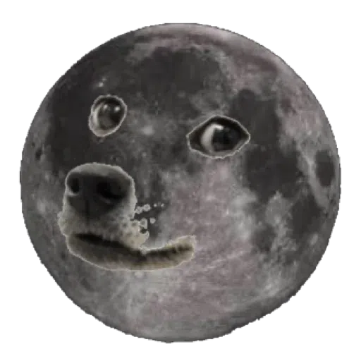 doge - Sticker 28