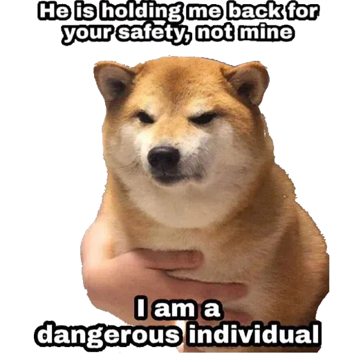 doge - Sticker 9