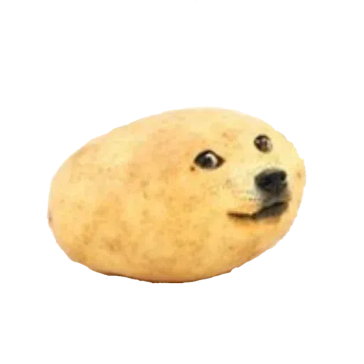 doge - Sticker 14