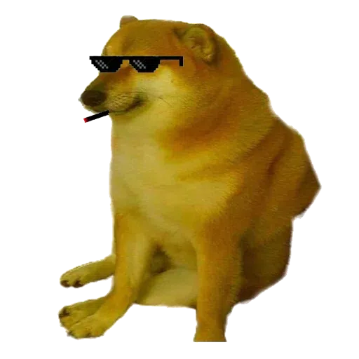 doge - Sticker 10