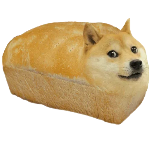 doge - Sticker 16