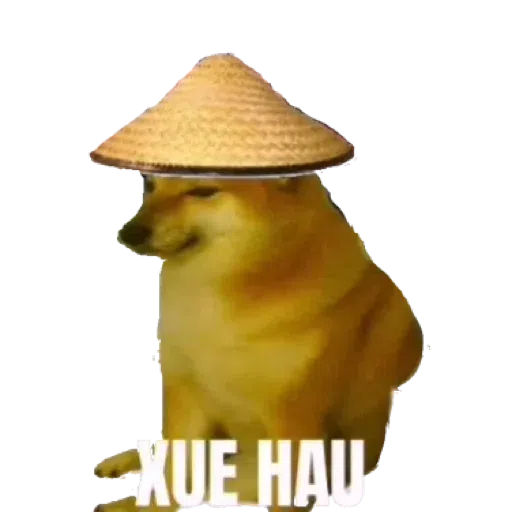 doge - Sticker 27
