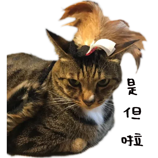 Babyandsam - Sticker 10