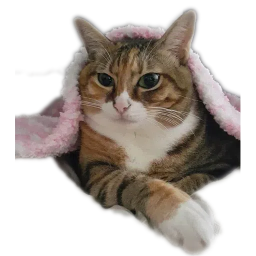 Babyandsam - Sticker 11