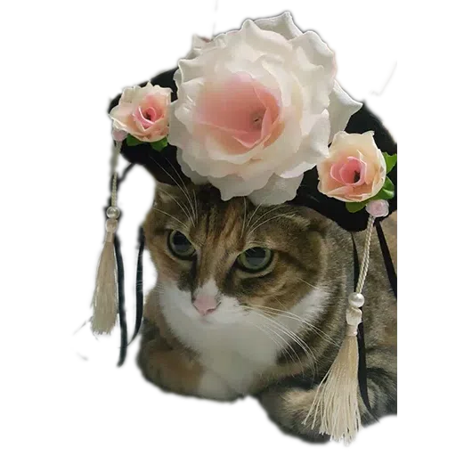 Babyandsam - Sticker 14