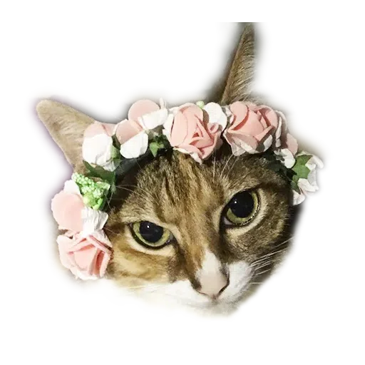 Babyandsam - Sticker 13