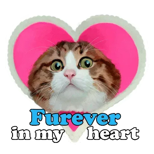 Rexie cat - Sticker 10