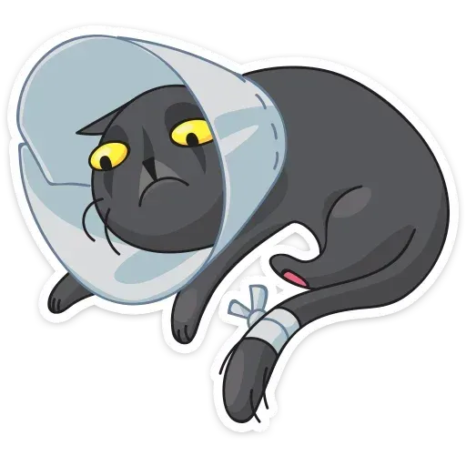 Black Kat - Sticker 28