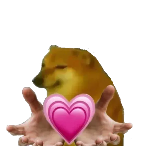 Ricardo_on121 - Sticker 17