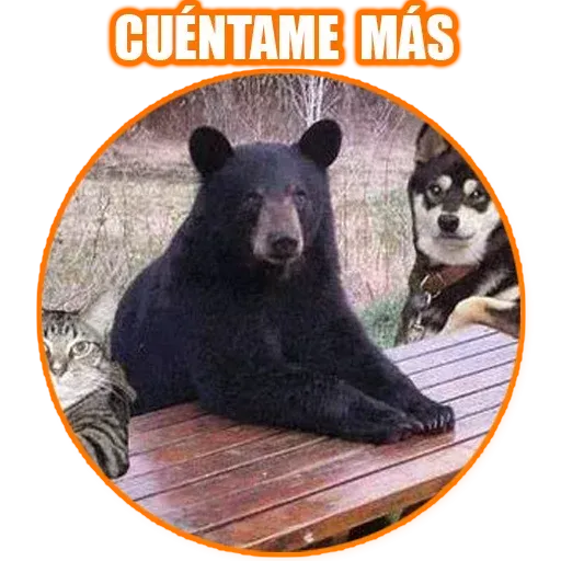 Frases3 - Sticker 21