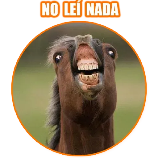 Frases3 - Sticker 22