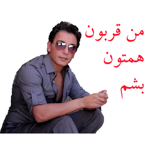 Shadmehr Aghili - Sticker 17
