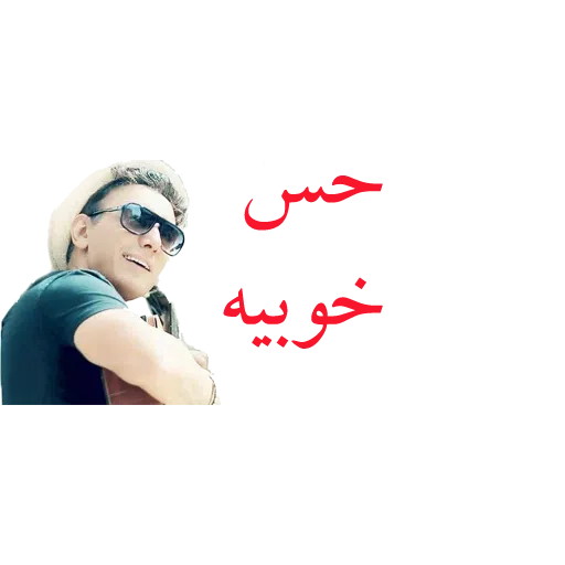 Shadmehr Aghili - Sticker 13