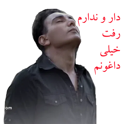 Shadmehr Aghili - Sticker 10