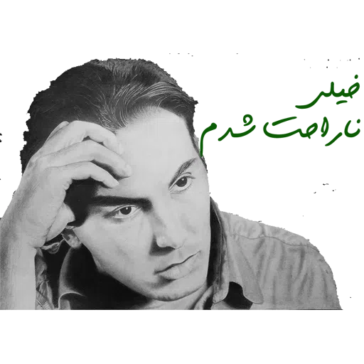 Shadmehr Aghili - Sticker 30
