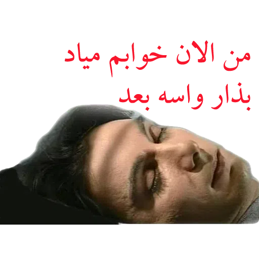Shadmehr Aghili - Sticker 23
