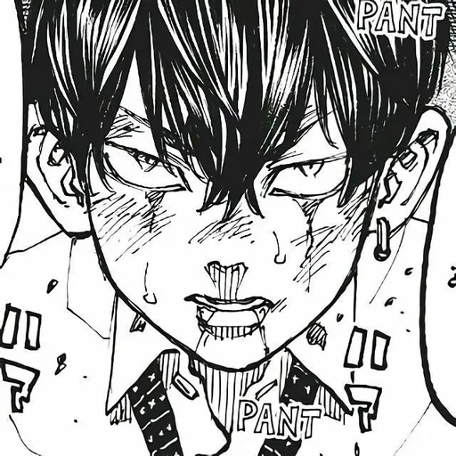 chifuyu manga - Sticker 29