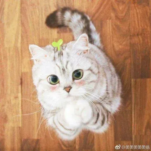 Meow:3 (2) - Sticker 24