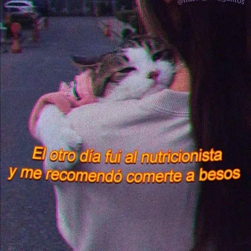Memegatos - Sticker 11