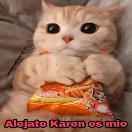 Memegatos - Sticker 14