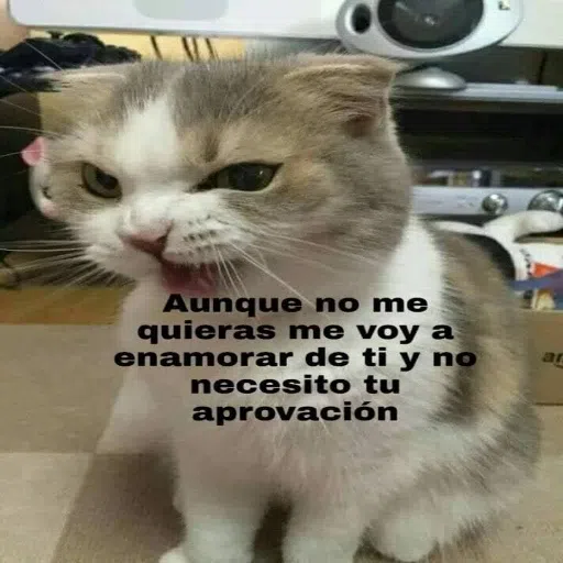 Memegatos - Sticker 9