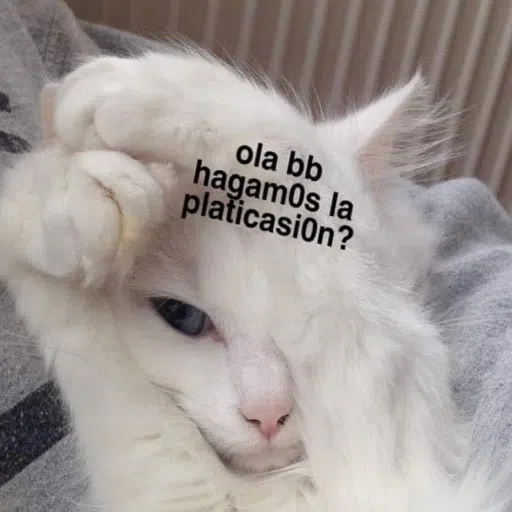 Memegatos - Sticker 16