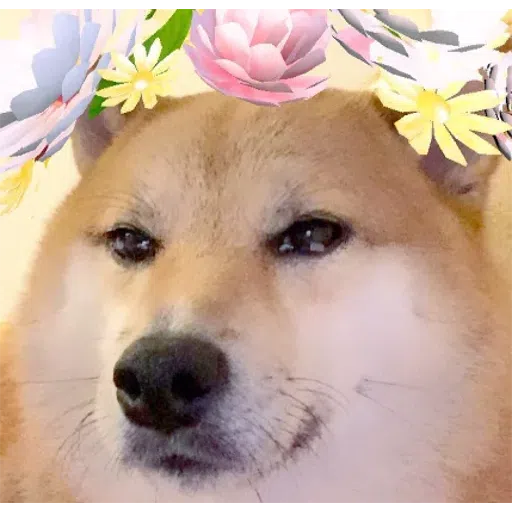 Random - Sticker 11