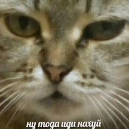 шизааааа - Sticker 19