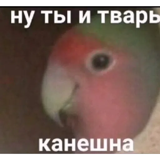 шизааааа - Sticker 18
