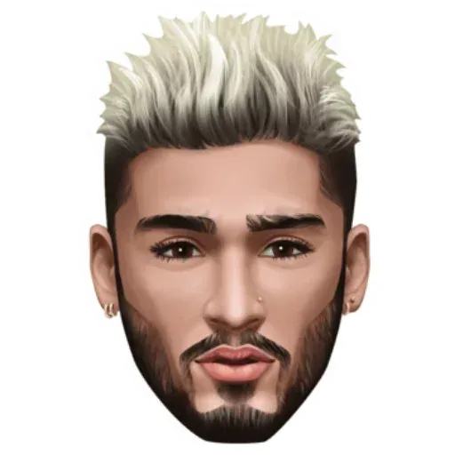 Zayn - Zaynmoji - Sticker 18
