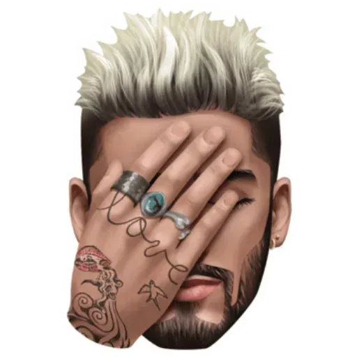 Zayn - Zaynmoji - Sticker 24