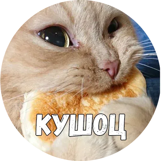 Байной? - Sticker 19