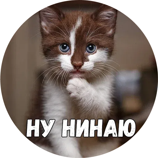 Байной? - Sticker 15