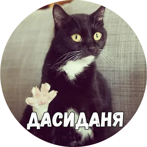 Байной? - Sticker 28