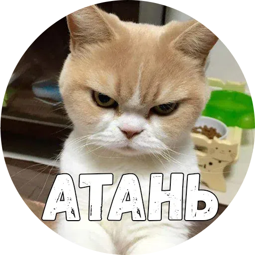Байной? - Sticker 12