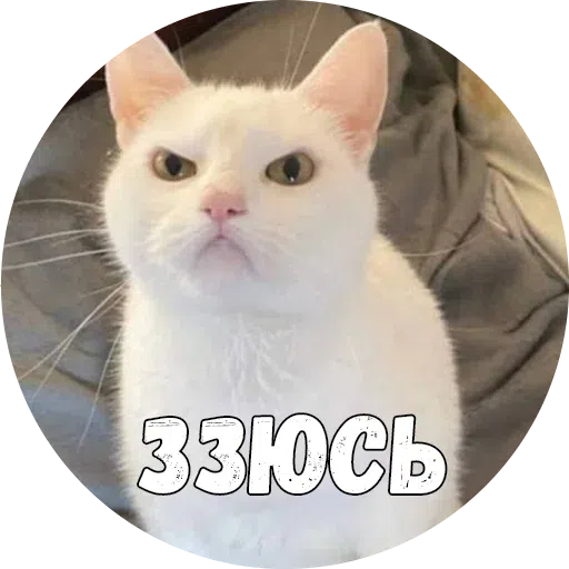 Байной? - Sticker 13