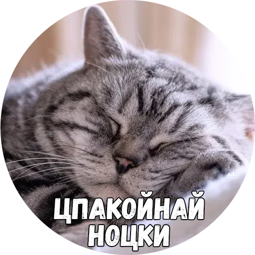 Байной? - Sticker 29