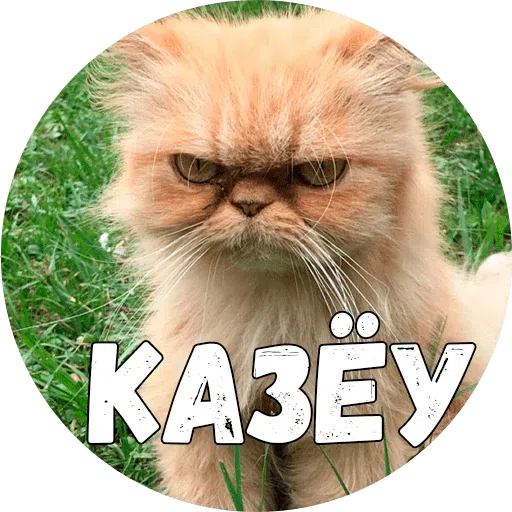 Байной? - Sticker 25